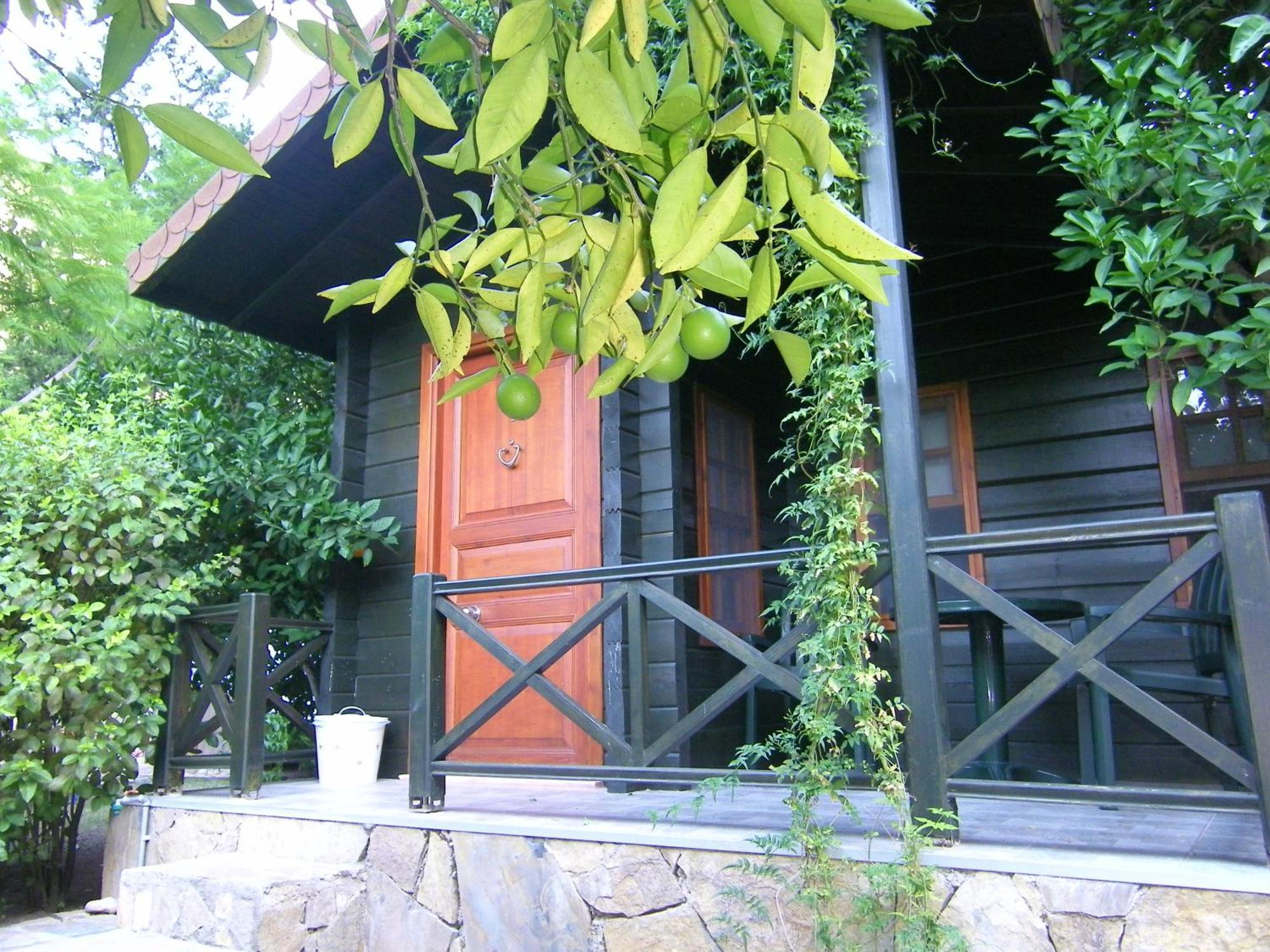 Portalimo Lodge Hotel - Adult Only +12 Çıralı Buitenkant foto