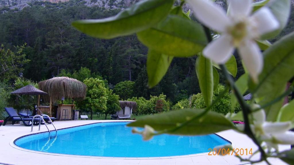Portalimo Lodge Hotel - Adult Only +12 Çıralı Buitenkant foto