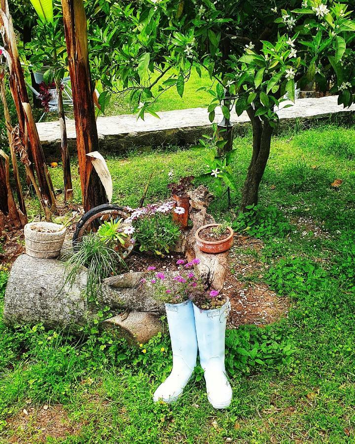 Portalimo Lodge Hotel - Adult Only +12 Çıralı Buitenkant foto