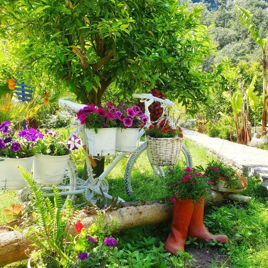 Portalimo Lodge Hotel - Adult Only +12 Çıralı Buitenkant foto